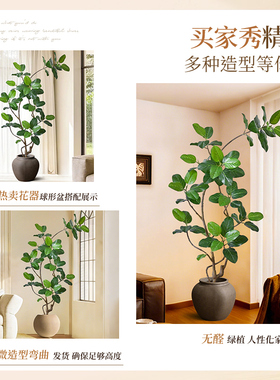 仿真绿植孟加拉榕盆栽沙发旁摆件