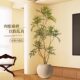 The top ten contributions of simulated green plant potted plants in indoor living rooms