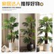 Simulated fantail sunflower high-end light luxury style artificial tree landscaping bionic green plant potted indoor living room decoration ornaments floor