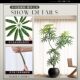 Peacock wood simulated green plants for high-end light luxury customers