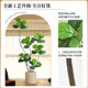 Simulated green plant Ficus fiddleleaf ficus floor-standing potted indoor large-scale bionic plant ornaments living room light luxury decorative flower fake tree