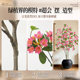 Fake green plants decoration simulated bougainvillea indoor potted plants