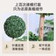 Fake green plants, fake trees, Milan ball plant creative ornaments