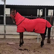 Sweatshirt winter horse coat thicken Marcoat plus cotton margaris enlarge horse sweaty blood BMW horse dressing small pony horse coat thickened