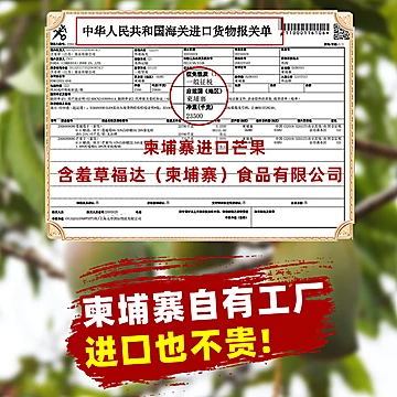 mimosa含羞草东南亚异域芒果干358g[5元优惠券]-寻折猪