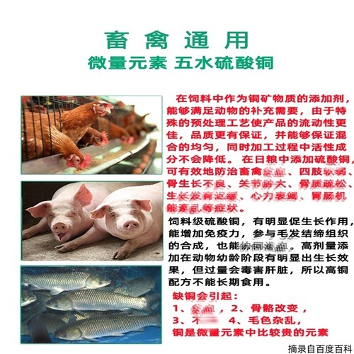 饲料级硫酸铜 微量元素抗病猪牛羊鱼兔饲料添加剂 禽畜兽用硫酸铜虎窝淘 
