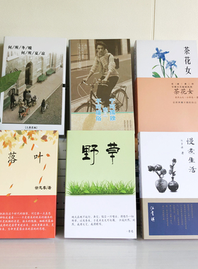 仿真书装饰品摆件模型创