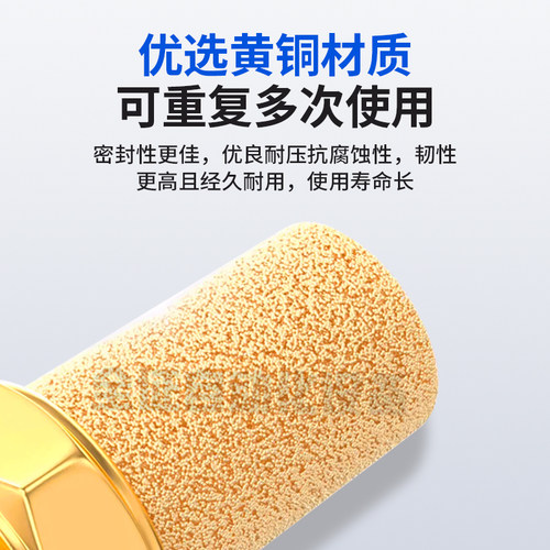 国产 平头消声器   堵头   BSL-01-02-03 1/8  4/1  NPT-01-02-03 - 图0