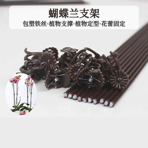蝴蝶兰花支架兰夹子支撑杆植物爬藤花卉固定专用花支架园艺兰花夹 - 图0