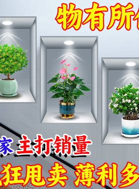 【每日特价】新款三联装饰画3D立体效果盆栽自粘贴画客厅墙面壁画
