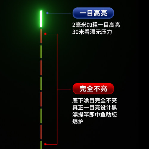全粗尾一目亮两目亮电子漂灵敏醒目日夜两用夜光漂夜钓远投鱼漂浮 - 图2