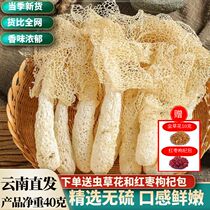 Yunnan Select Special Class Fresh Bamboo Sun Fungus Dried Goods Wild Fungus Mushroom First-class Bamboo Sheng Soup Ingredients Official Flagship Store