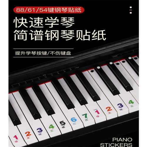 透明简谱88键钢琴贴76/61/54/49键电子琴键盘贴纸琴按键音标贴彩 - 图1