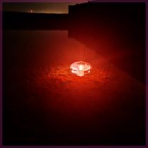 Fish Pond Trap light farm Insect Trap Light Chicken Farm Agriculture Fish Farming Light Control Chickens Duck Citation Black Light Lamp