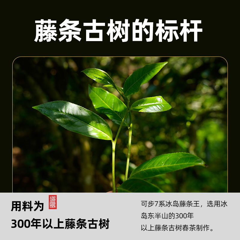可步 7系藤条王 普洱茶 云南冰岛古树生砖2023年头春