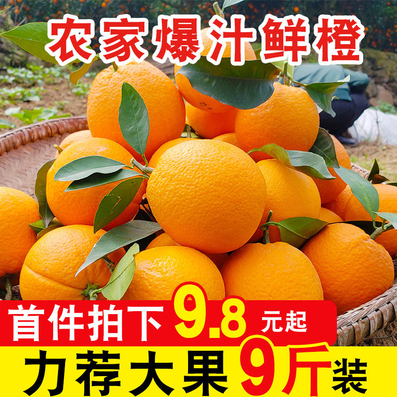 爆汁夏橙新鲜橙子9斤装当季水果整箱脐橙现摘孕妇手剥赣南包邮10