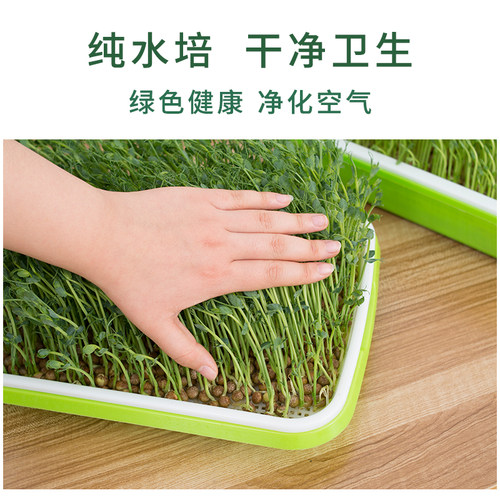 豆芽发芽盆水培蔬菜设备豌豆苗种植架无土栽培托家用芽苗菜育苗盘 - 图2