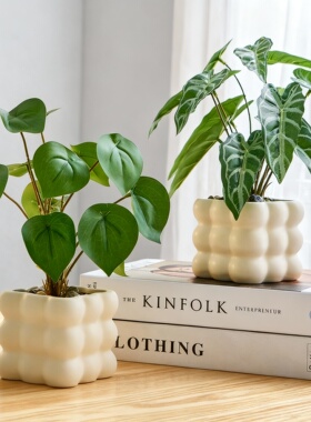 云朵造型桌面花盆摆件