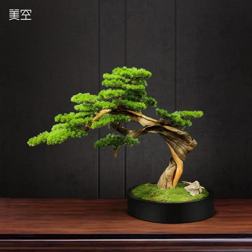 Mikong 251/Сплошное дерево