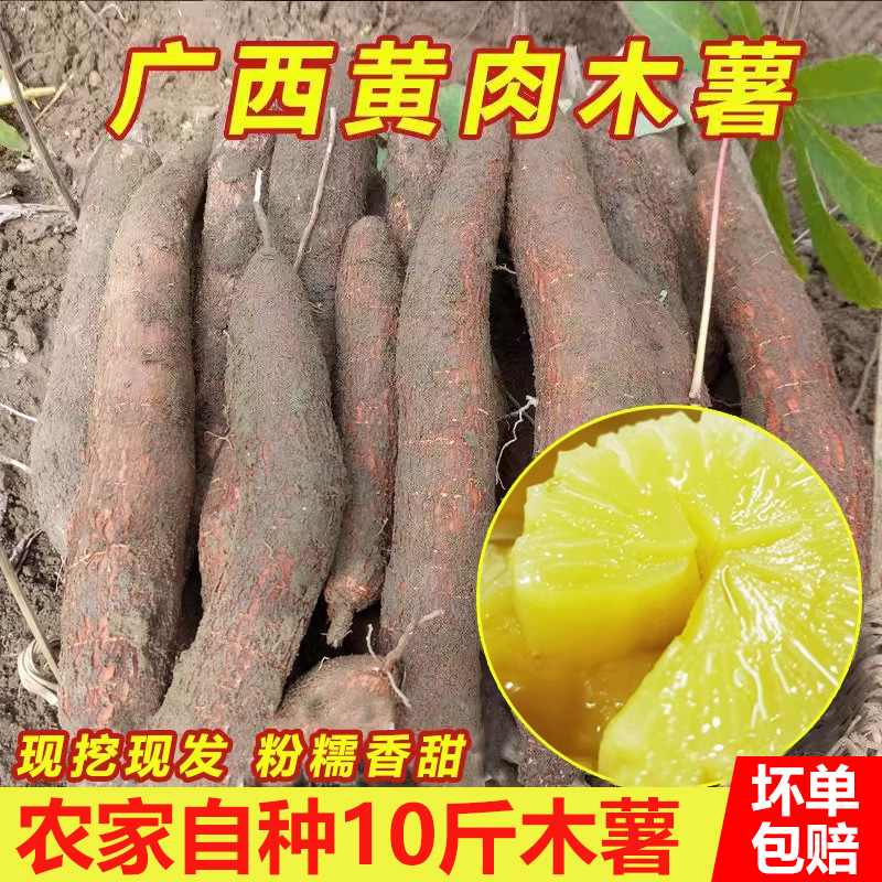 广西特产去皮新鲜黄心木薯粉糯甜板栗5斤现挖黄肉面包黄金木薯-图1