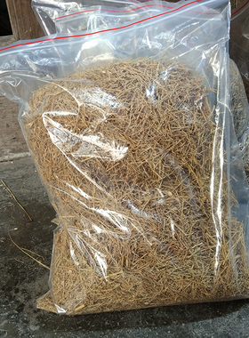 糯稻草段刷墙粉刷稻草节