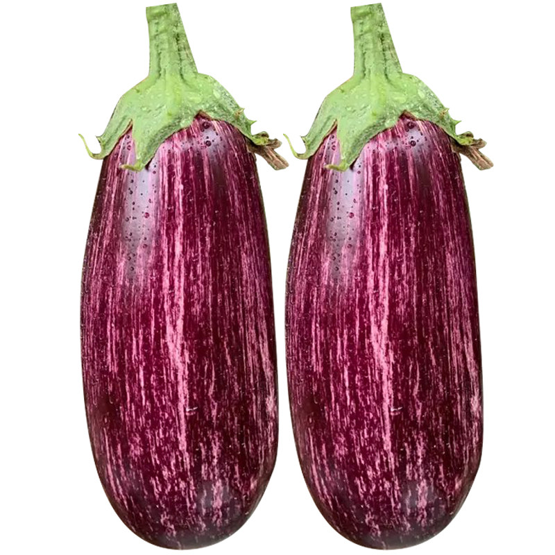 彩茄花茄种子孑春季秋季四季阳台盆栽蔬菜特色面包紫红纹茄子种籽,淘宝优惠券,粉丝福利购,淘宝优惠卷