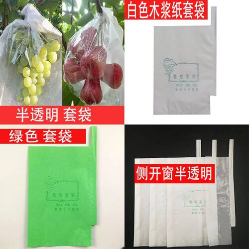 葡萄专用套袋露天葡萄袋子葡萄纸袋巨峰葡萄套袋防虫防鸟防雨包邮 - 图2