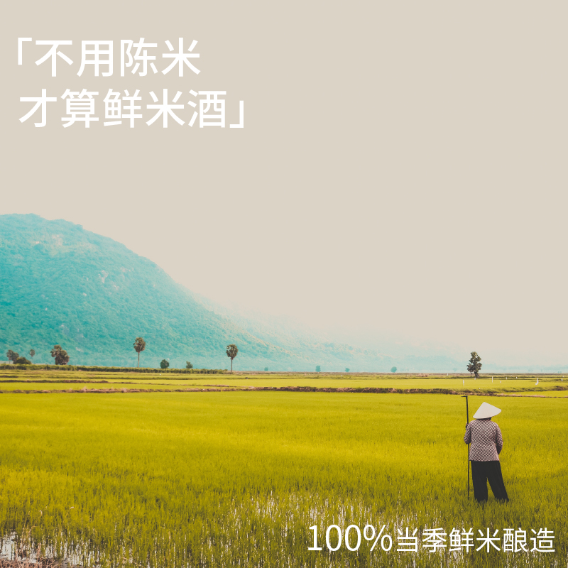 苏州桥鲜米酒5度520ml*8瓶整箱苏州特产桂花酒酿米酿醪糟桂花米露