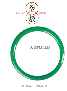 天然玛瑙高冰翡翠色翠绿色玉髓手镯帝王绿浅绿美人镯细圆条叮当镯
