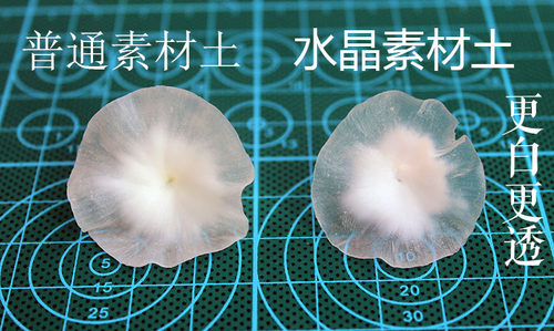具象水晶树脂粘土素材半透明 多肉专用500克一斤手工制作人偶食玩 - 图0