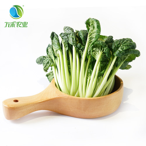 万禾农业万禾有机塌菜乌塌菜塔菜塌棵菜塌地松黑菜家常菜250 叶菜 - 图2