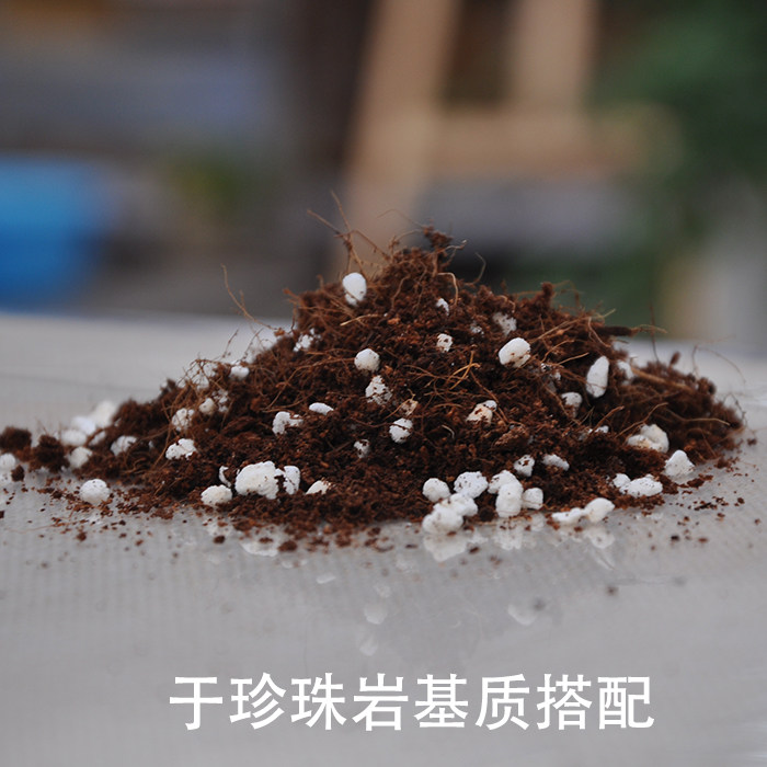 有机种花种菜种植土爬宠垫材椰粉砖椰砖椰土650g 阳台种菜土包邮 - 图1