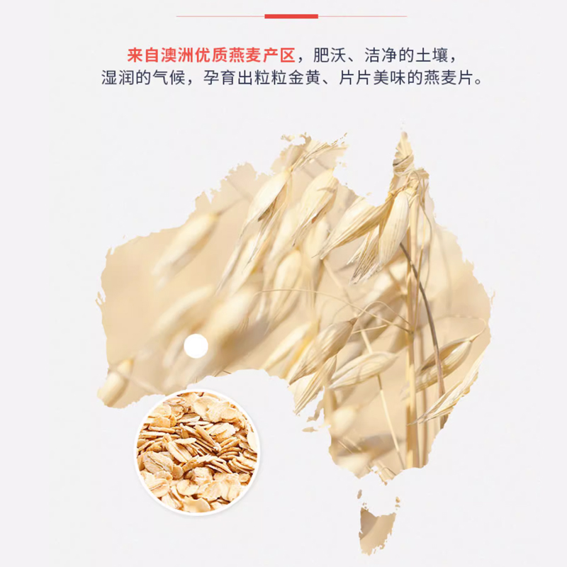 西麦即食/快煮原味燕麦片1kg*2袋无蔗糖添加全谷物绿色食品早餐