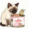 Royal Milk Cake Cat Canned Anti-counterfeiting Date Checkable Fresh
