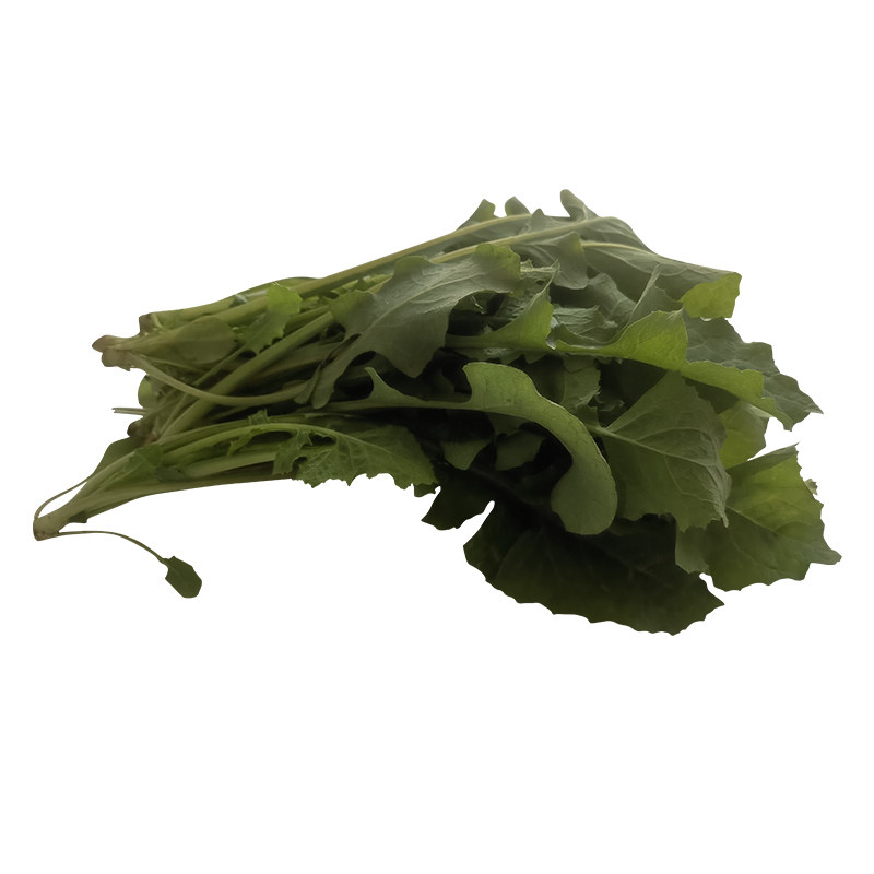 勤励园新鲜苦菜1斤无污染现采现摘蔬菜健康食品零食青菜蔬菜,淘宝优惠券,粉丝福利购,淘宝优惠卷