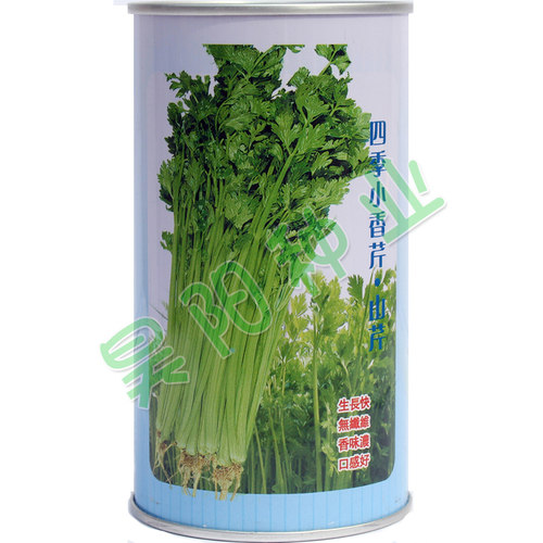 春秋四季小香芹种子寿光蔬菜山芹种子家庭菜园艺栽培大面积种植 - 图0