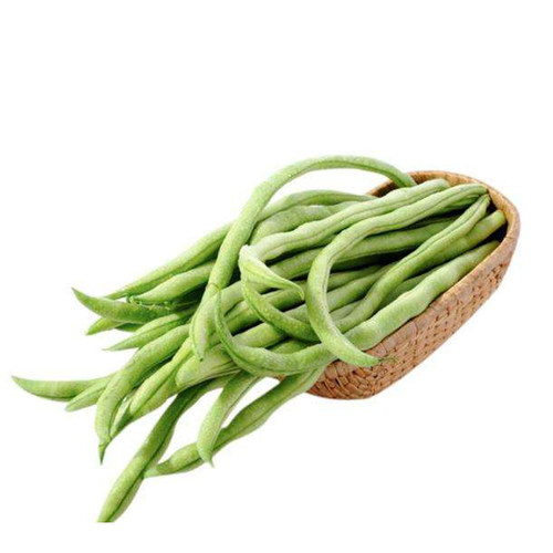 架豆王种子特长无筋架豆青豆菜豆籽长芸豆四季豆爬藤蔬菜种子 - 图3