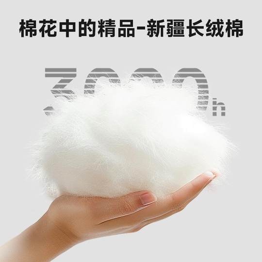 被子内胆套棉被棉花被内胆套被芯包棉絮被套保护套高密棉纱布定制