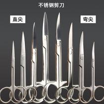 Stainless Steel Scissors Surgery 14CM Elbow 16CM Straight Tip Ophthalmology Gauze Biocular Leather Patch Beauty Repair Brow Nose Hair Cut