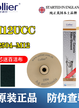 Fairey道尔顿适配2504滤芯2501