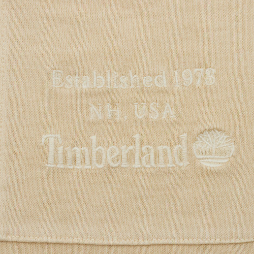 Timberland添柏岚男子AF GD Heavy运动休闲短袖T恤A5SMF-260 - 图1