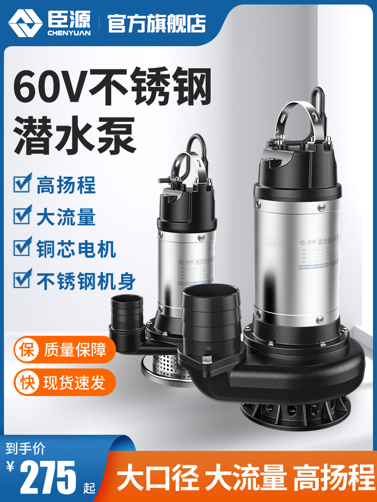 臣源直流潜水泵48V60V家用电动车农用小型12V24V电瓶抽水泵高扬程