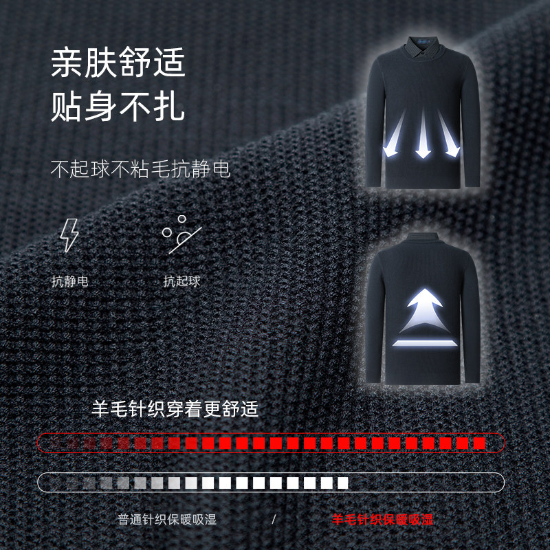 SHANSHAN杉杉羊毛衫男款秋季新款T恤男翻领针织衫男士Polo衫