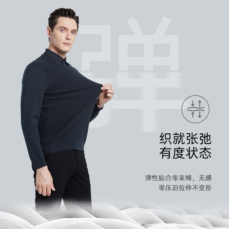 SHANSHAN杉杉羊毛衫男款秋季新款T恤男翻领针织衫男士Polo衫