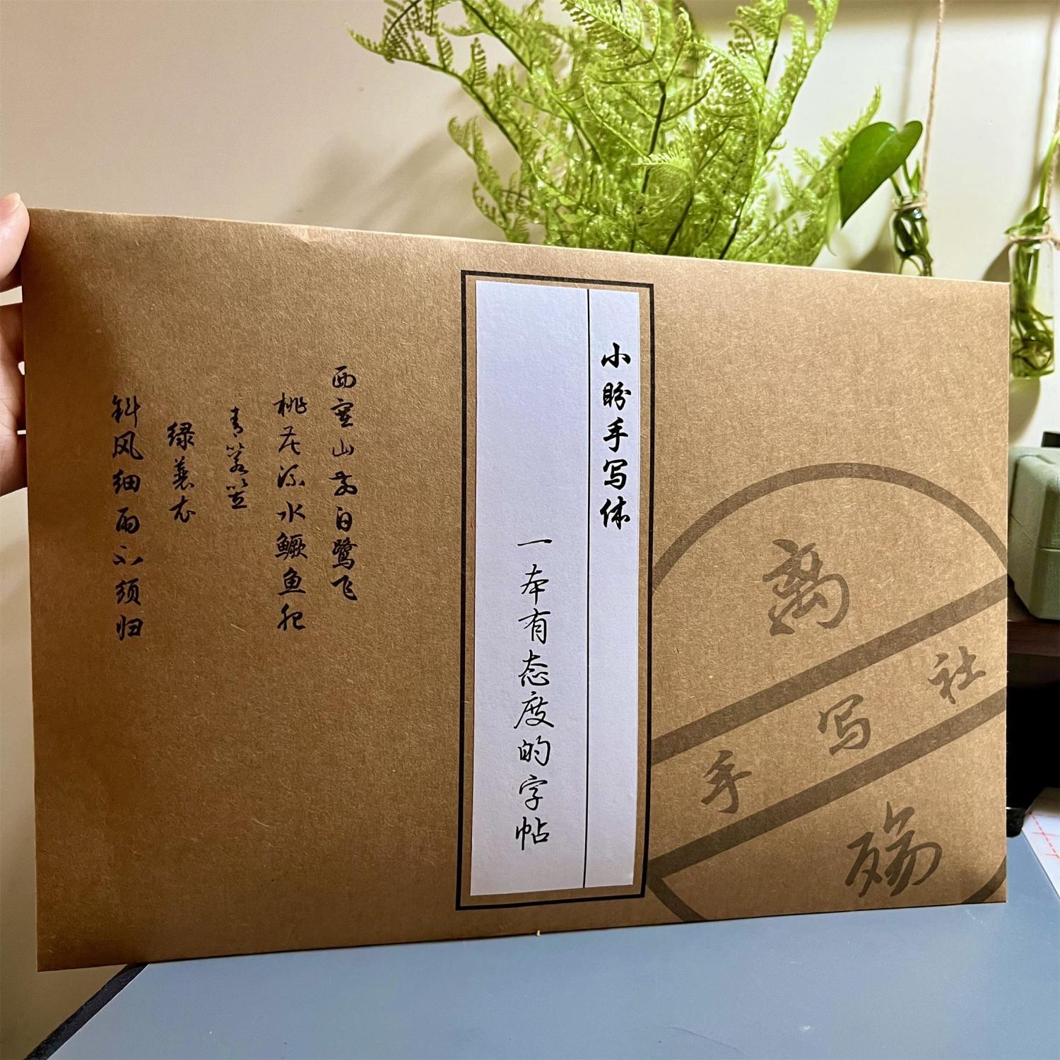 手写临摹练字帖成年人行楷草书漂亮字体男女生清新连笔字字帖钢笔