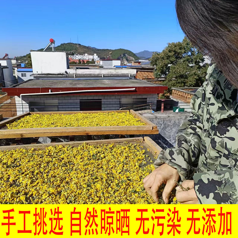 秦岭野生野菊花散装胎菊500g野菊米特级贡菊胎菊花茶中药材 - 图1