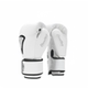 BN boxing gloves Sanda gloves