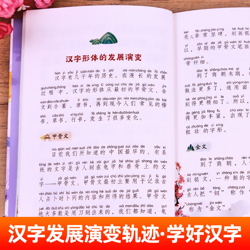 汉字的故事注音版 大语文系列 小学语文课外阅读经典 一二年级小学生书籍写给孩子的汉字故事正版有故事的汉字 北京教育出版社yw