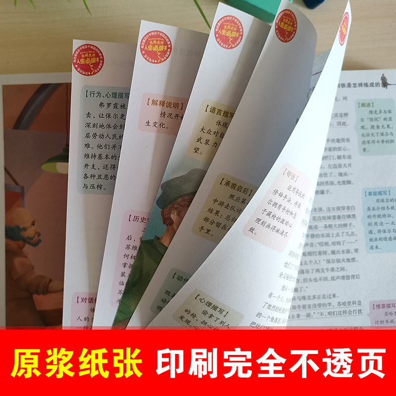 【老师推荐】钢铁是怎样炼成的正版小学生课外书读物阅读书籍必读原著青少年版世界经典名著少儿版怎么样练成的 SD-图3