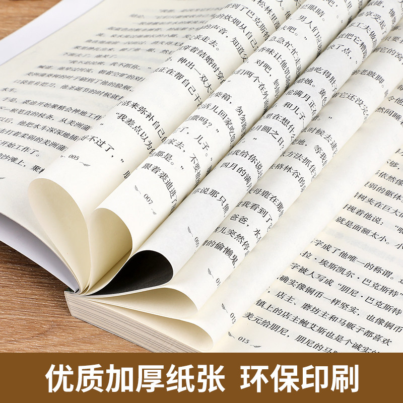 成长树国际大奖儿童文学系列典藏书系全套6册兔子坡纽伯瑞奖 三四五六年级必读的课外书中小学生阅读书籍老师推荐经典书目小说读物